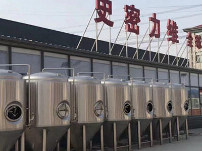 福田精酿啤酒设备厂—如何判断精酿啤酒设备的密封件需要更换？